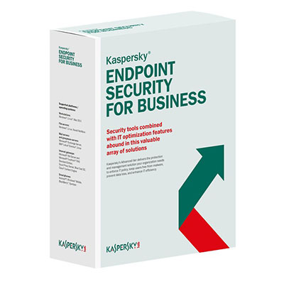 Купить Kaspersky Endpoint Security (расширенный)